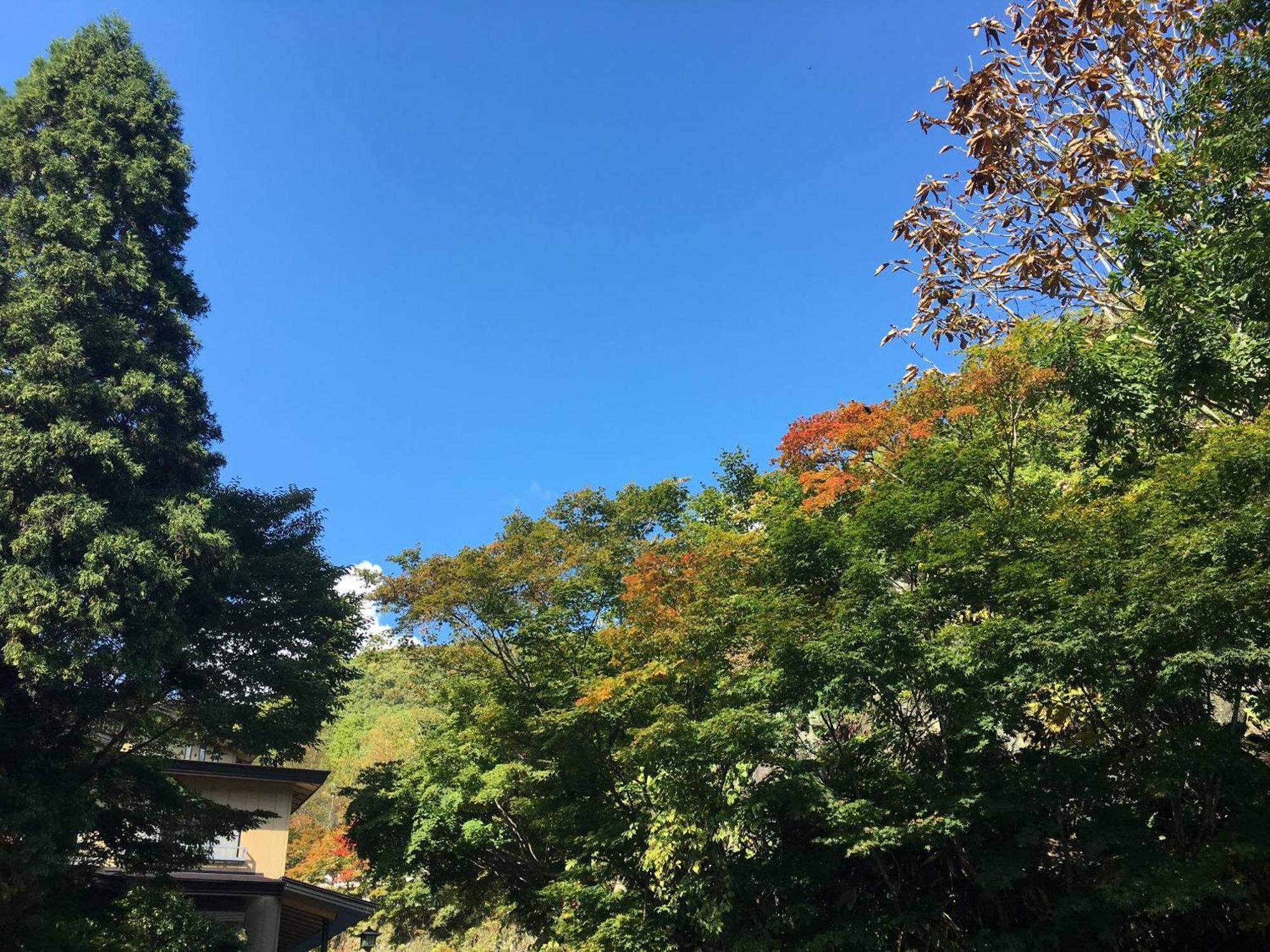 Takaragawa Onsen Ousenkaku Hotel Минаками Екстериор снимка