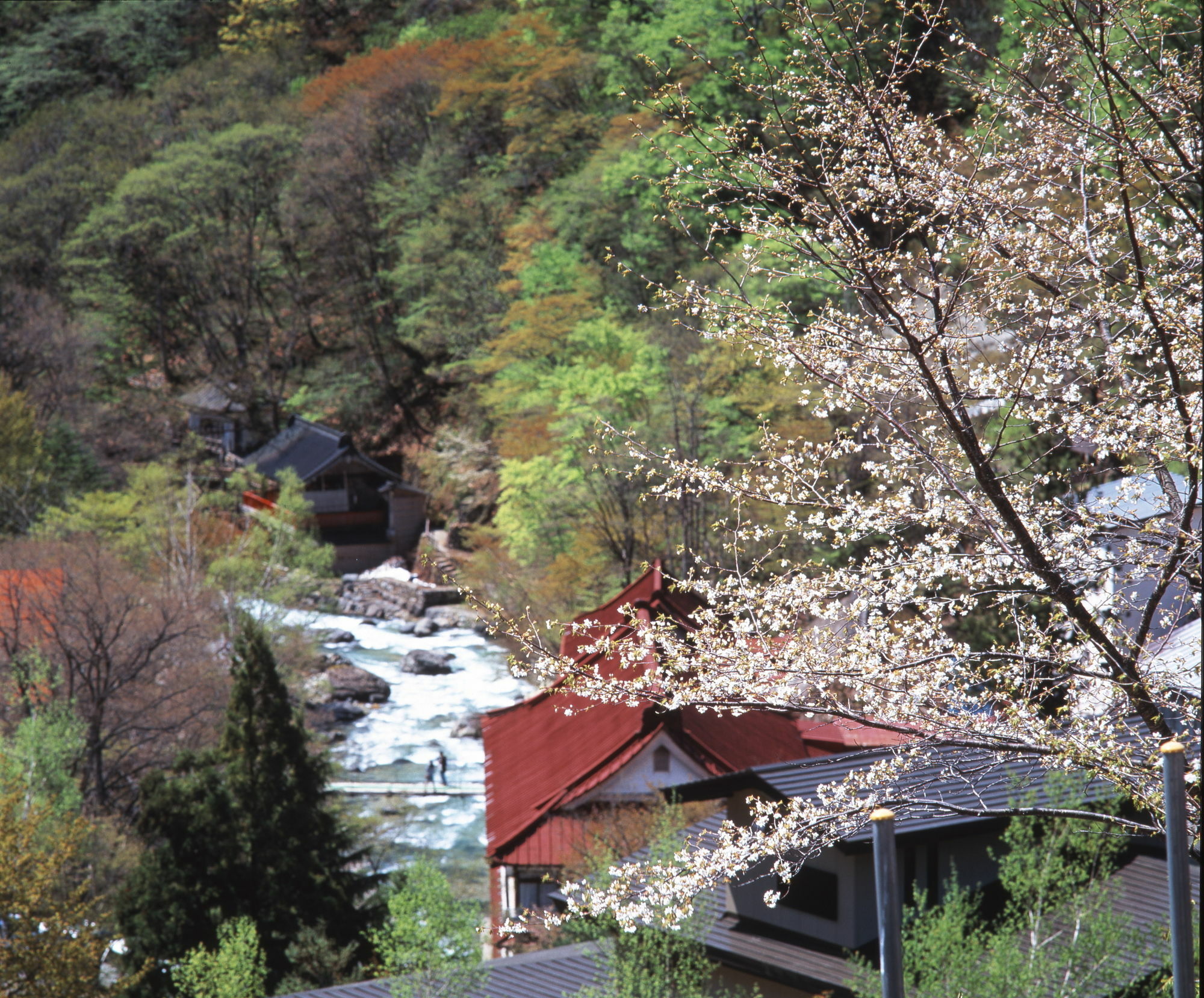 Takaragawa Onsen Ousenkaku Hotel Минаками Екстериор снимка