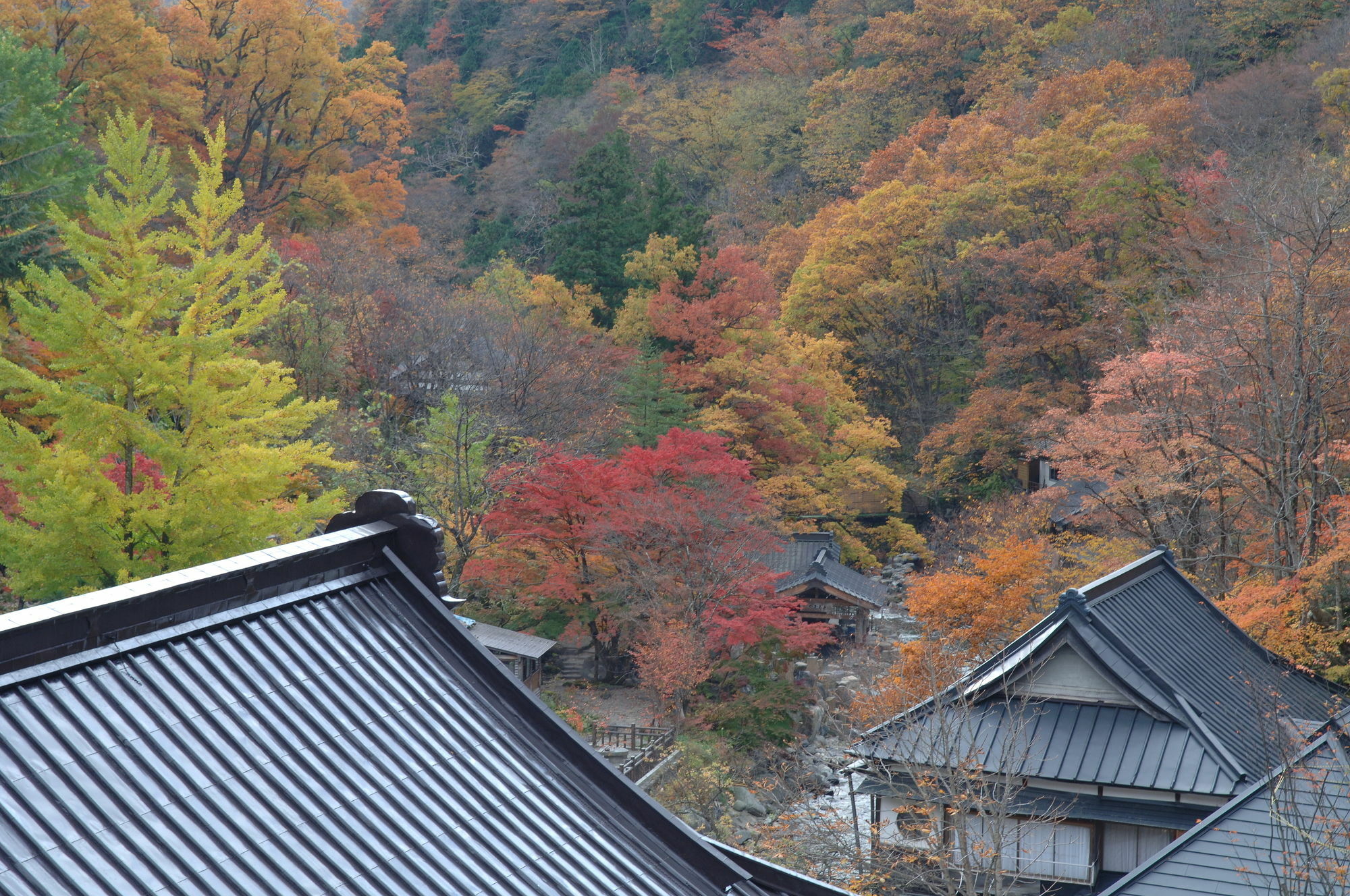 Takaragawa Onsen Ousenkaku Hotel Минаками Екстериор снимка